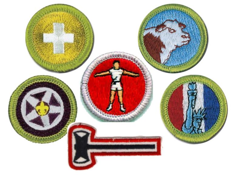 Merit Badge Fair 2020 Troop 45 Needmore, PA MasonDixon Council