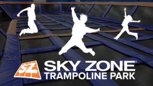Sky zone logo